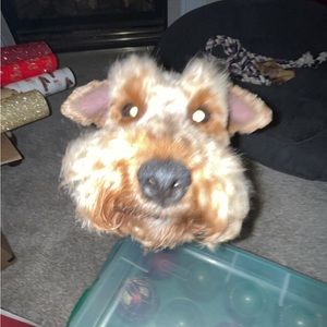 Meet your Posher, Katie